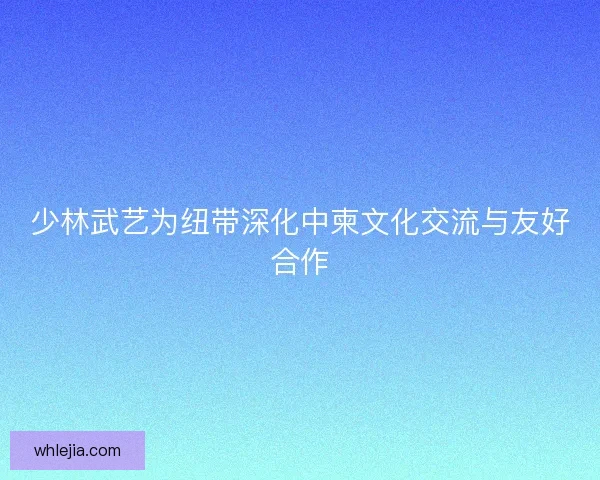 少林武艺为纽带深化中柬文化交流与友好合作