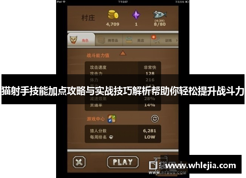 猫射手技能加点攻略与实战技巧解析帮助你轻松提升战斗力